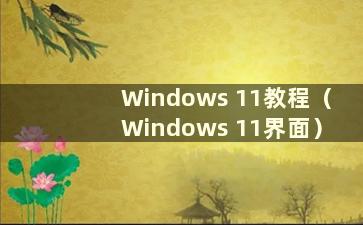 Windows 11教程（Windows 11界面）